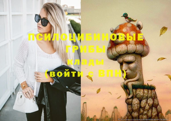 гидра Аркадак