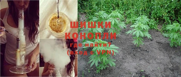 гидра Аркадак