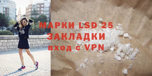 гидра Аркадак