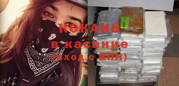 гидра Аркадак