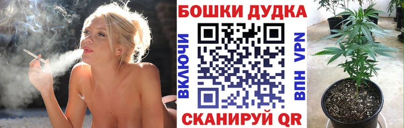 купить Новокубанск Бошки Шишки марихуана